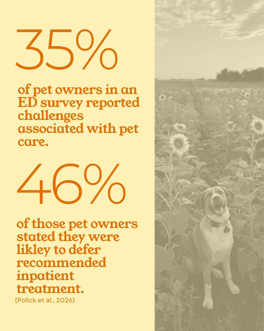 For many pet owners, not knowing who will care for their pet can add another layer of stress when they&rsquo;re already facing a medical emergency. And the research backs up what we know from experience: just how much that worry can affect decisions 