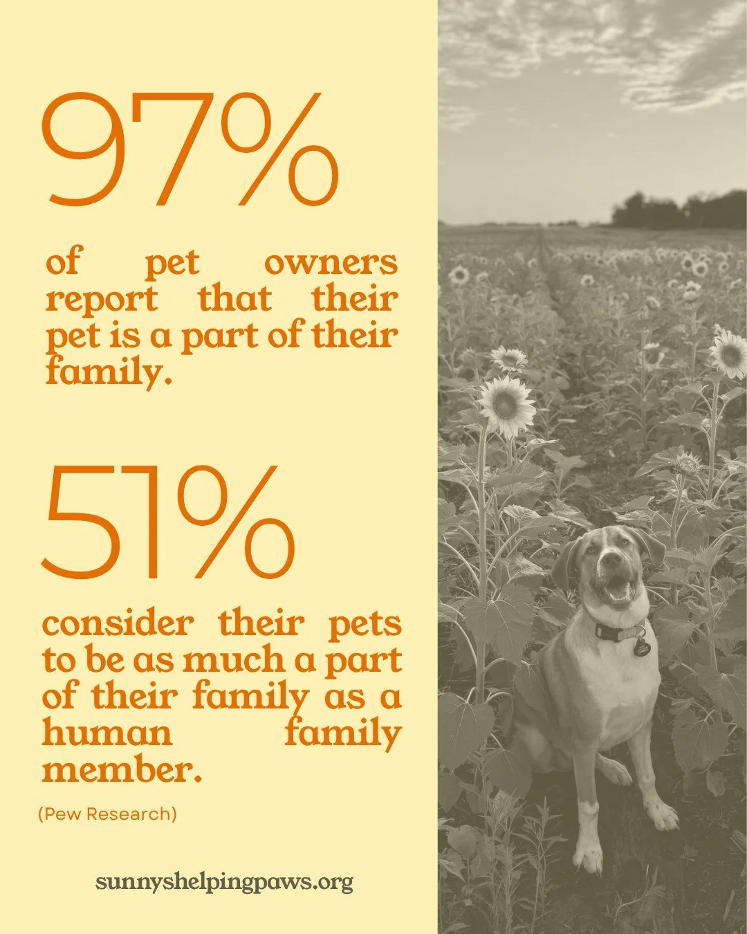 Pets are family. 

That&rsquo;s why we believe pets deserve to be part of the conversation when someone is facing medical treatment. When caring for a beloved pet becomes one more thing to worry about, having a safe and trusted option for their care 
