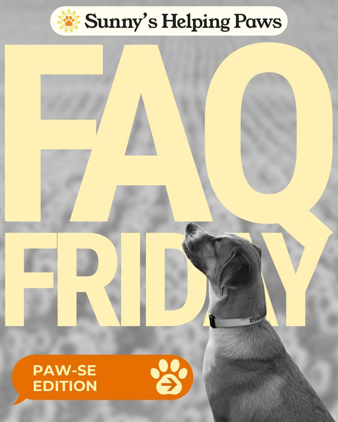 A little FAQ Friday update from behind the scenes. 

We&rsquo;re looking forward to sharing what we&rsquo;ve been building to support out community better with you soon! Thanks for being part of our growing community and for sticking with us as we ta