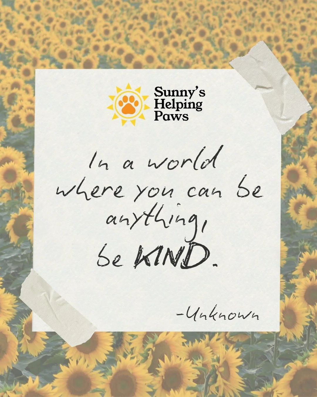 Sometimes kindness looks like opening your home to a pet whose person is going through a difficult time. Sometimes it&rsquo;s checking in, lending a hand, or simply making someone&rsquo;s day a little easier.

We hope you find opportunuintes to give,