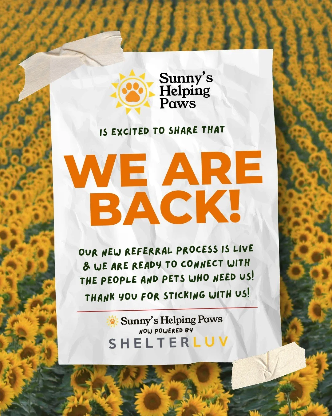 Sunny&rsquo;s Helping Paws is officially accepting referrals again through our new partner and updated processes!

While our website upgrades are still underway, our new intake and volunteer processes are both live, and we&rsquo;re ready to reconnect