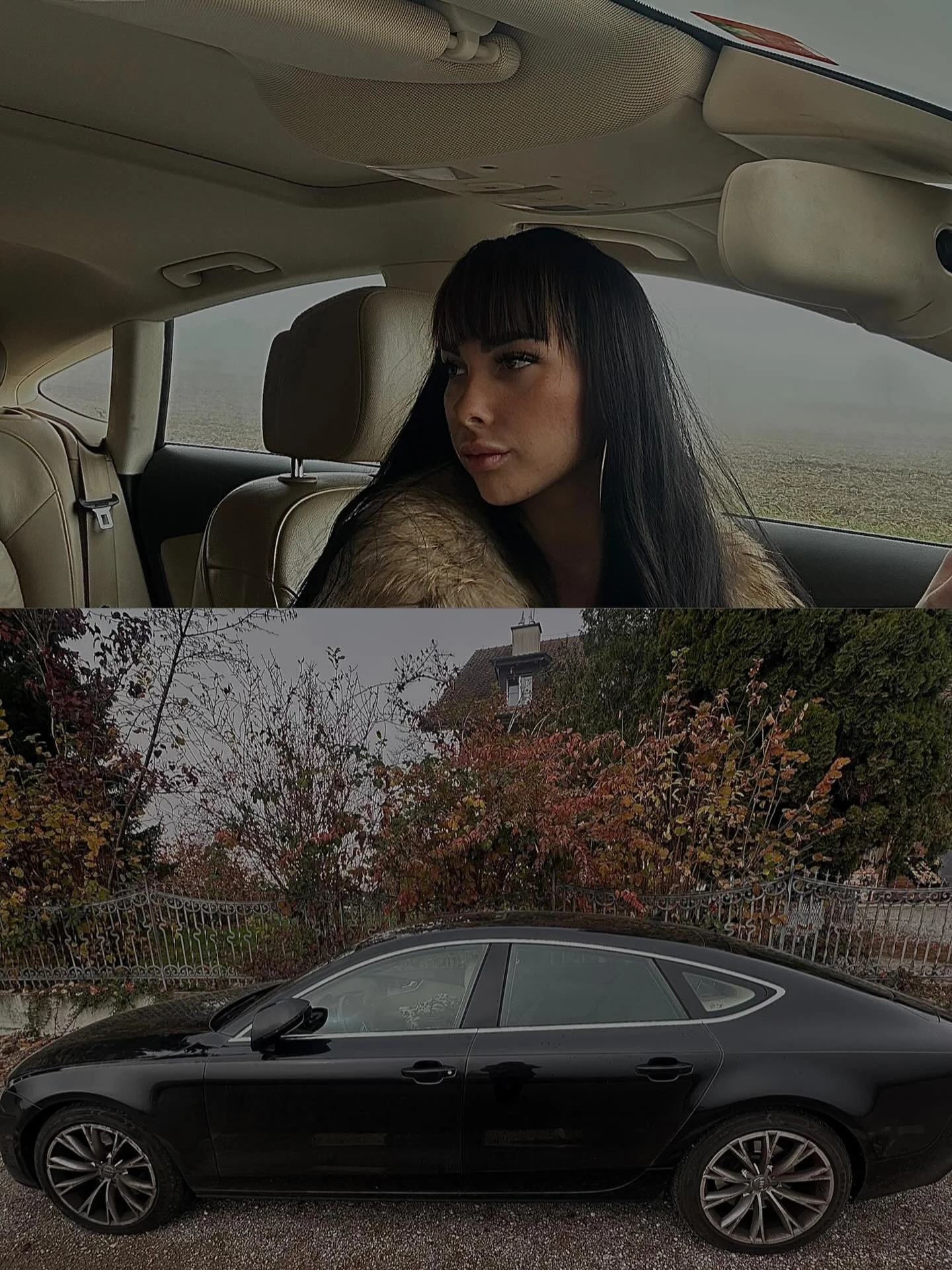 Lass uns die Nacht genie&szlig;en
Lass uns heute Nacht lieben
Lass uns etwas Neues anfangen, uns verlieben, es versuchen