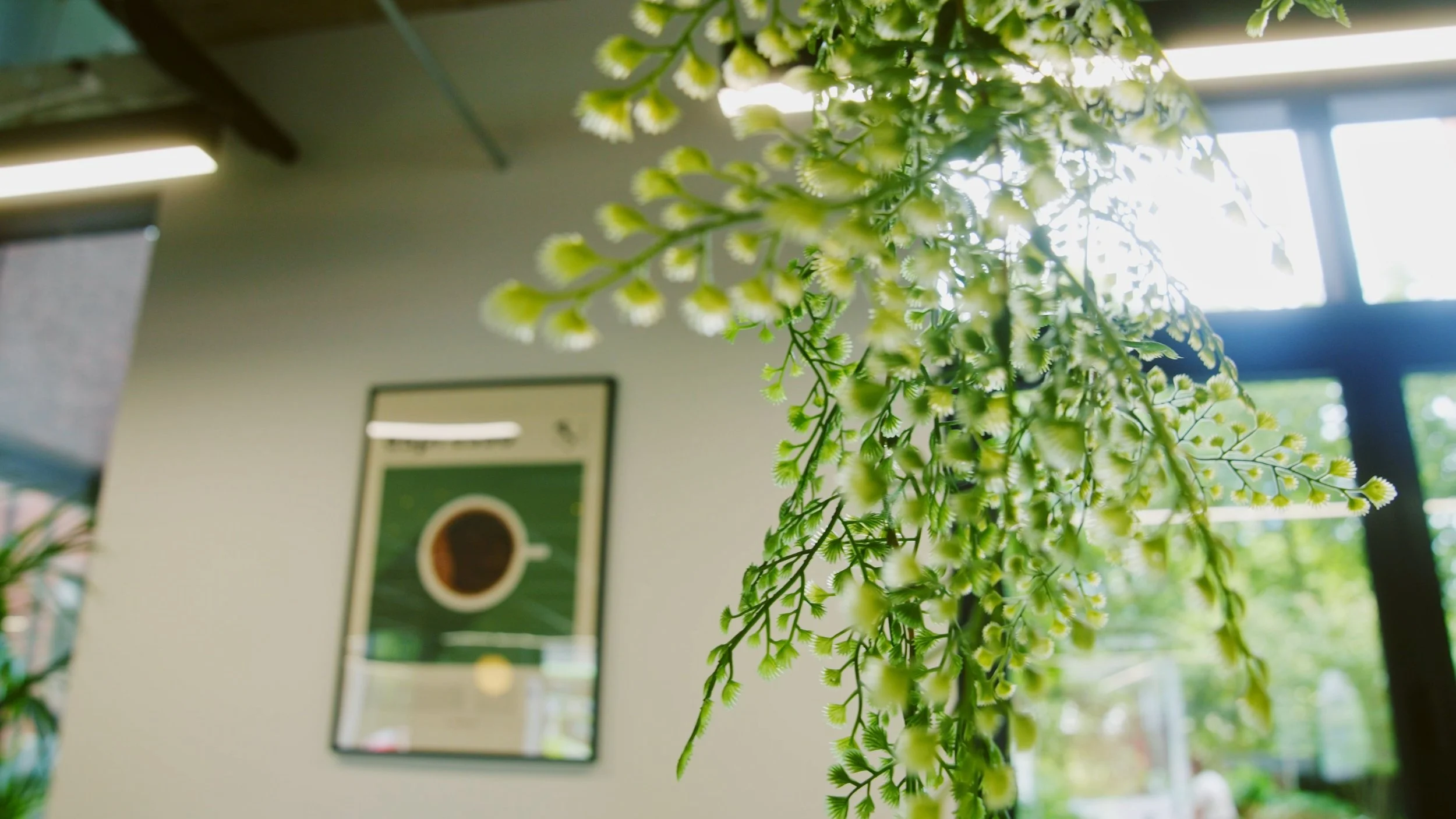 Close-up of hanging white and green flowers indoors with large windows showing trees outside.