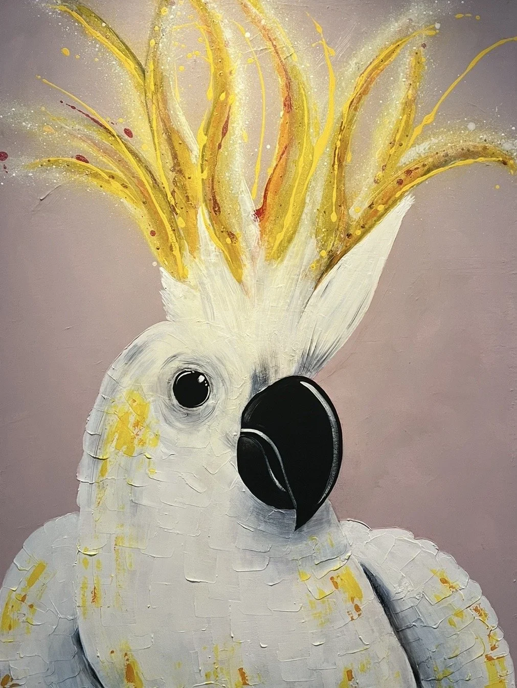 Hello Cocky - Sulphur Crested Cockatoo