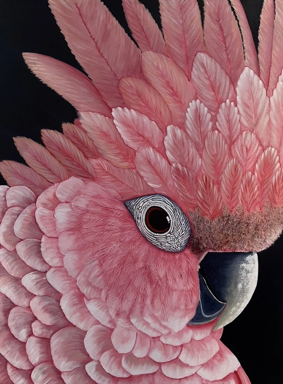 Flossie - Pink Cockatoo
