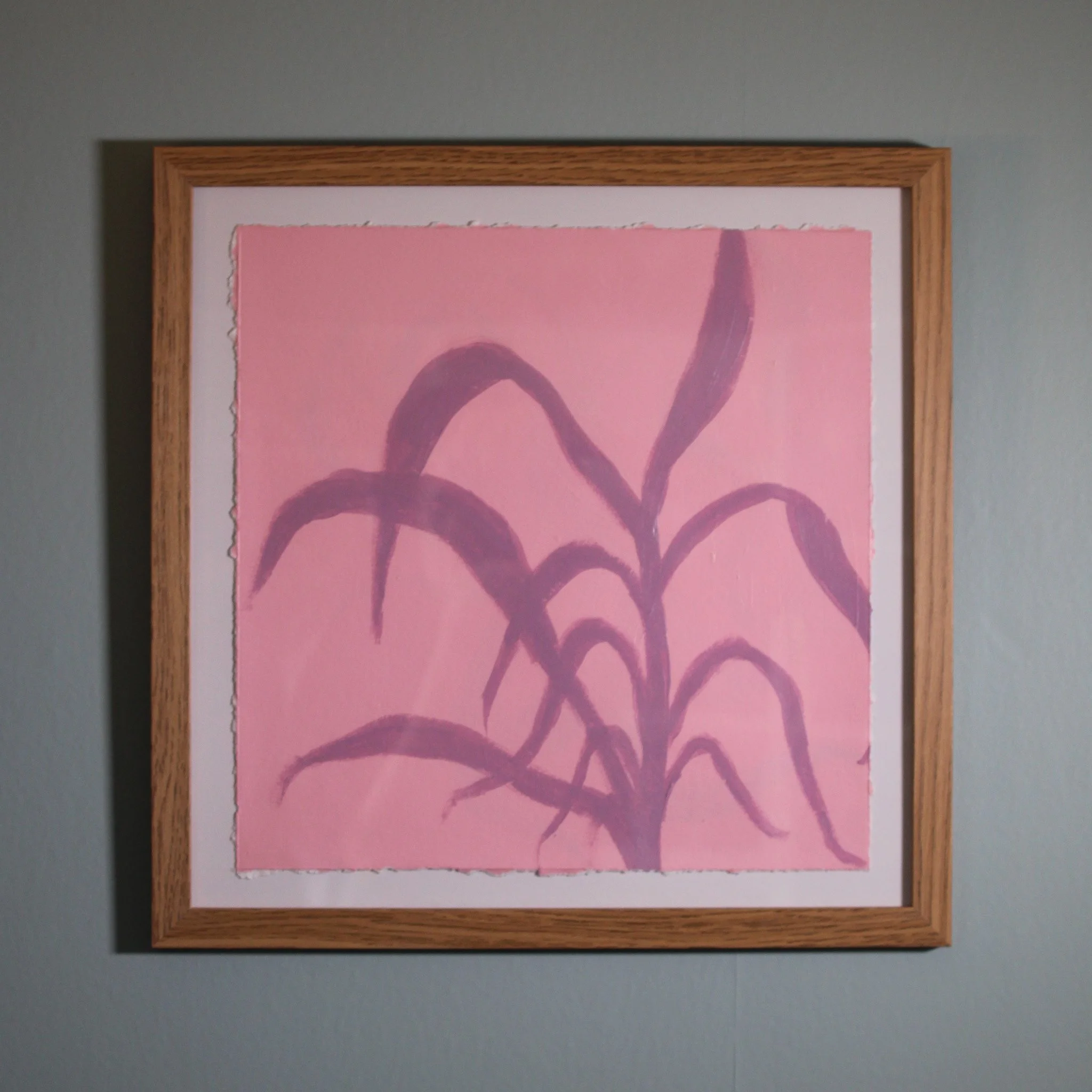 Pink Lucky Bamboo Shadow Piece | Acrylic on Paper, Framed
