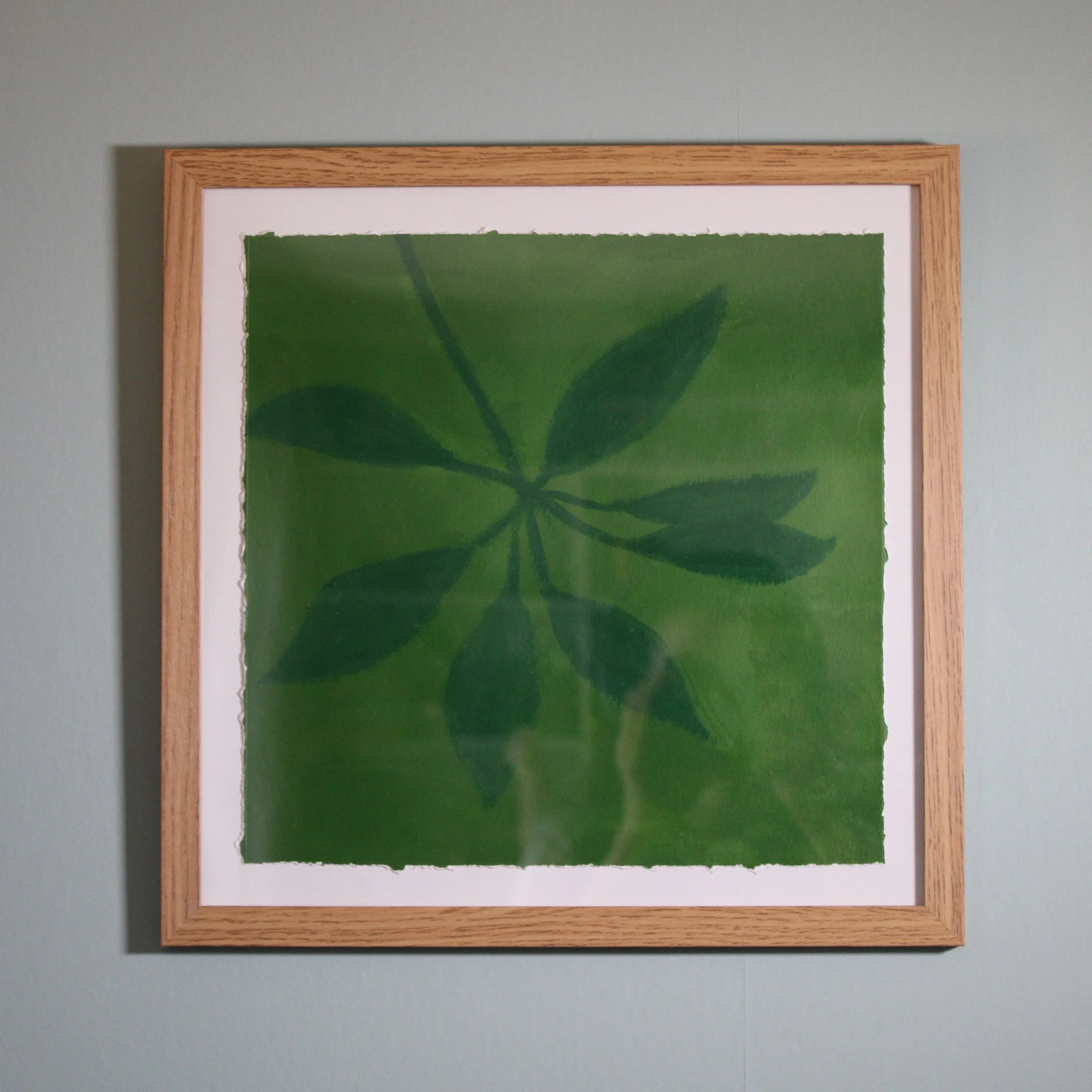 Green Umbrella Plant Shadow Piece | Acrylic on Paper, Framed