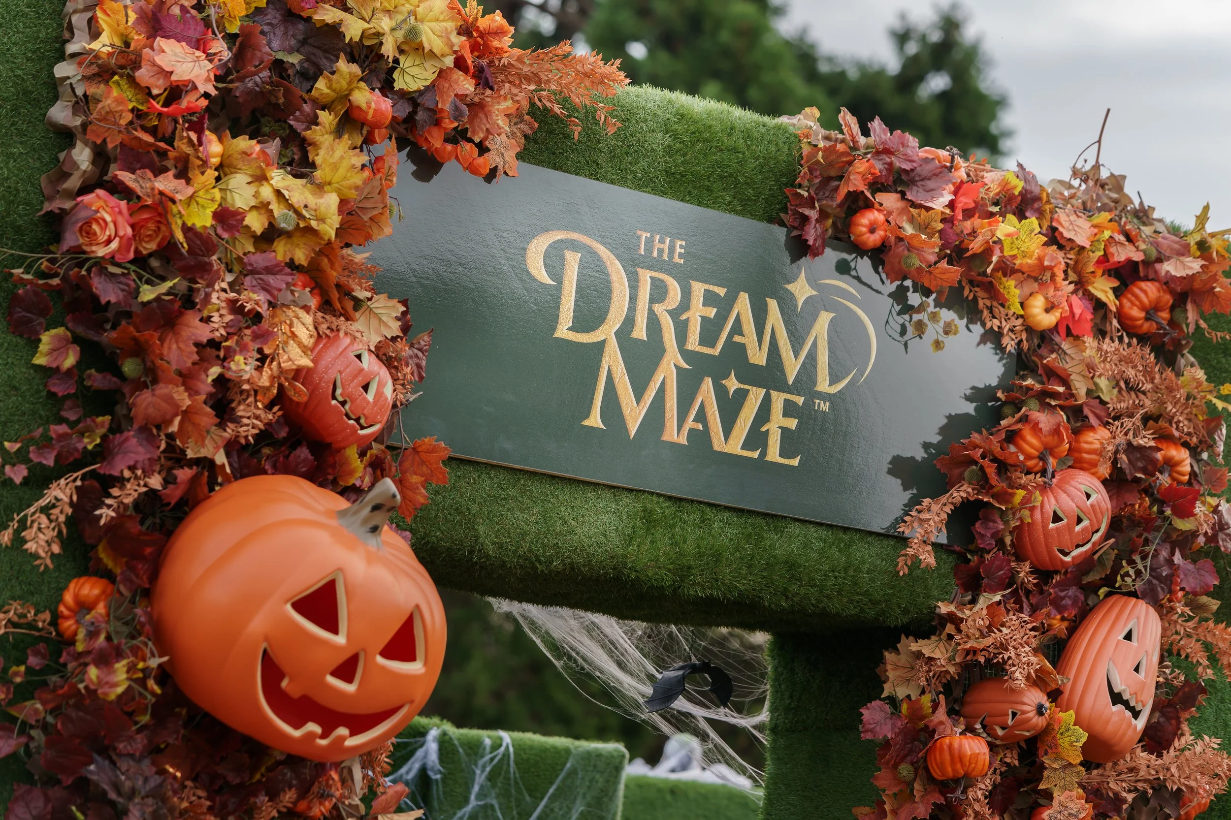 INDEPENDENT EVENTS THE DREAM MAZE WYNYARD HALL_19-10-25_DJW_006.JPG