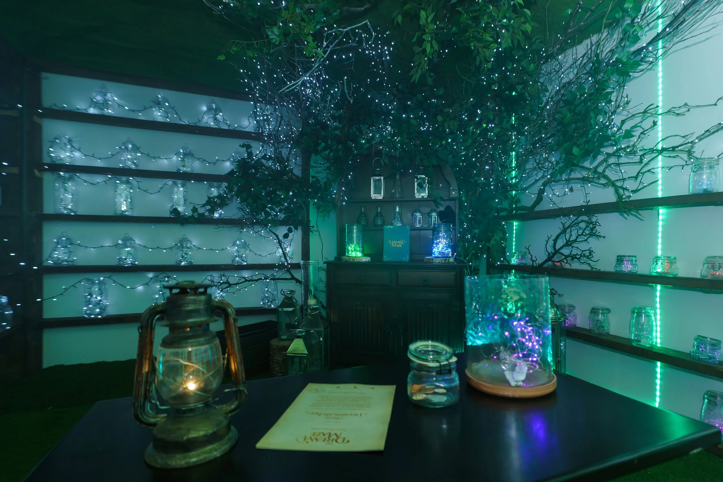 INDEPENDENT EVENTS THE DREAM MAZE WYNYARD HALL_30-11-25_DJW_073.JPG