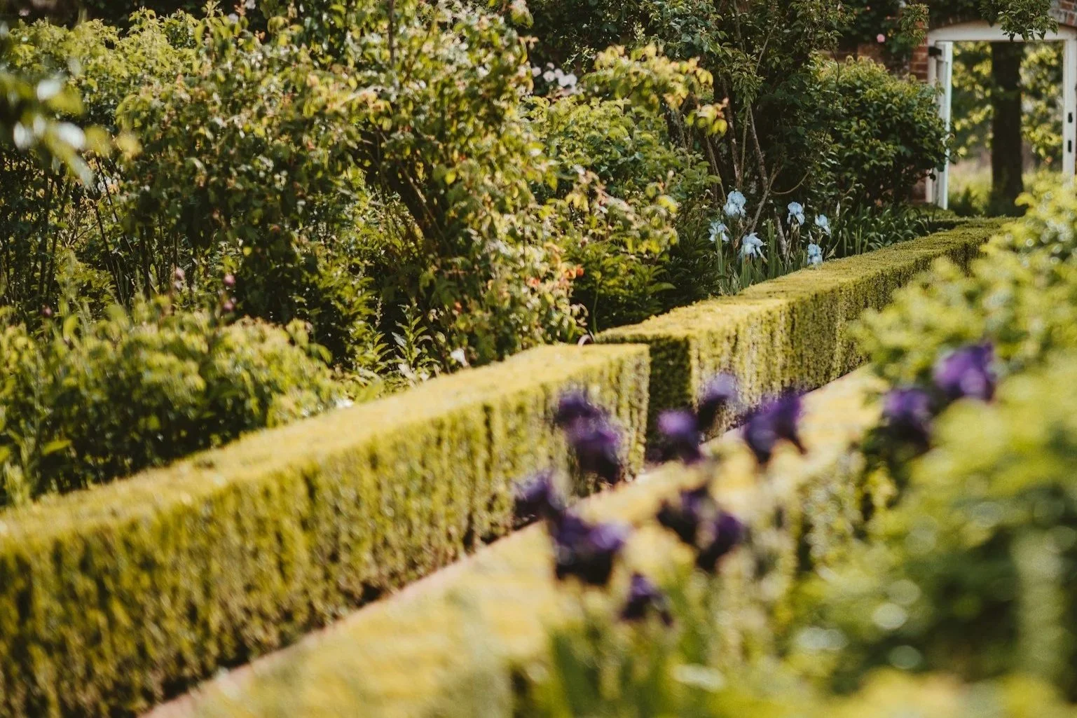 Irrigation and garden maintenance