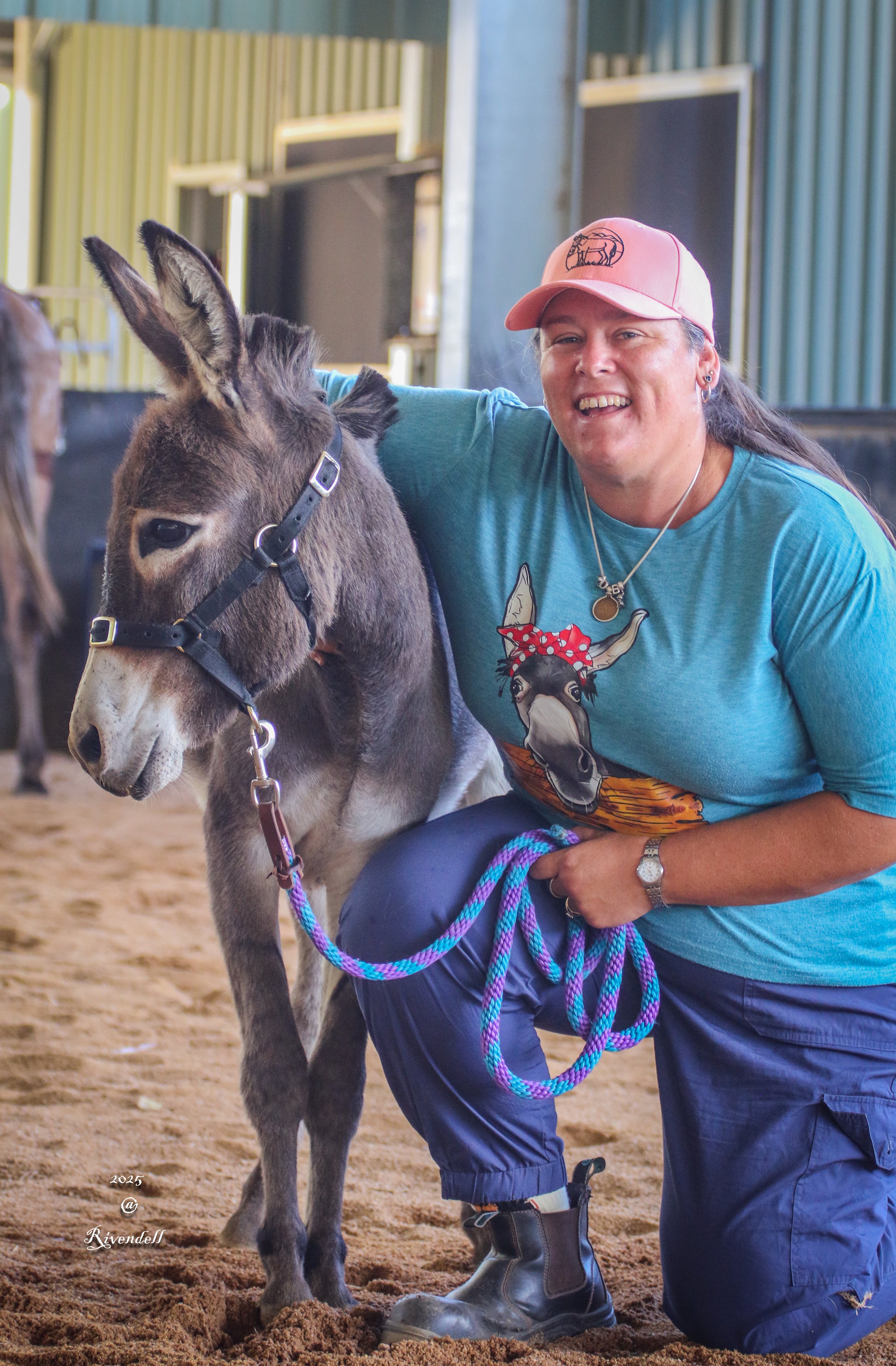 A woman in a pink cap and blue t-shirt kneeling on the ground, smiling and holding a young donkey's blue and purple lead rope inside a riding arena.