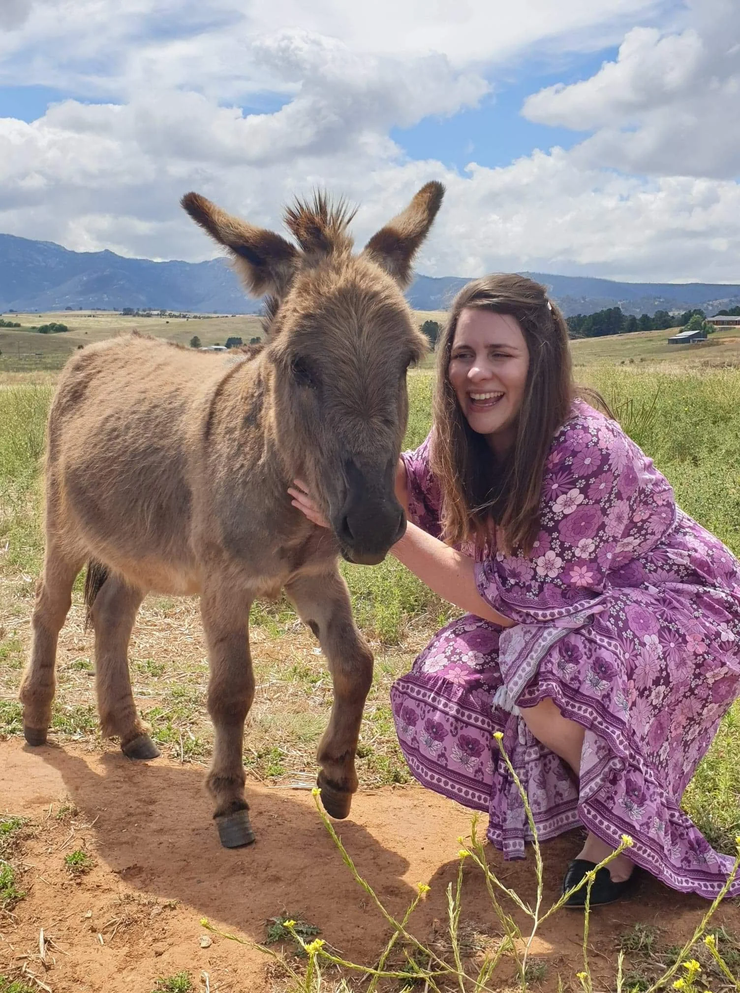 Woman in a purple dress squatting next to a miniature donkey on a farm, with mountains and blue sky in the background.