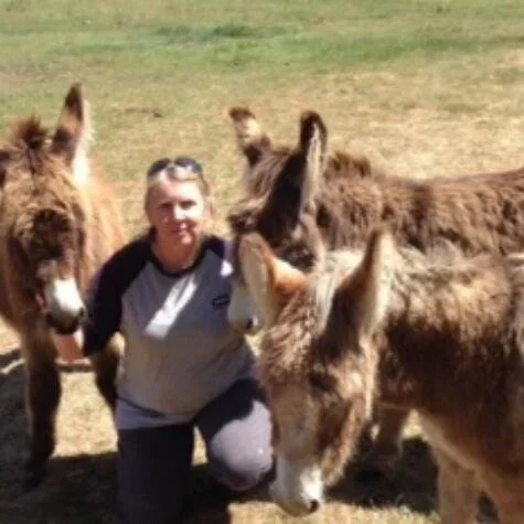 Person kneeling among several donkeys in a grassy field.