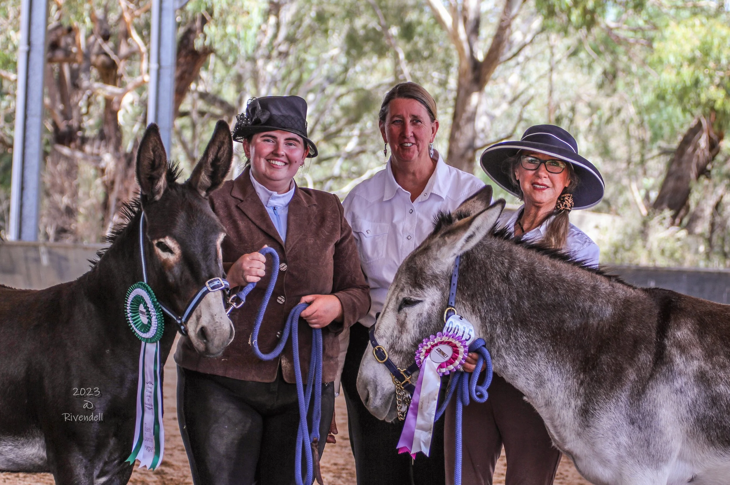 Two competitors with their winning donkeys pose with the judge of the 2023 DABSA National Show.