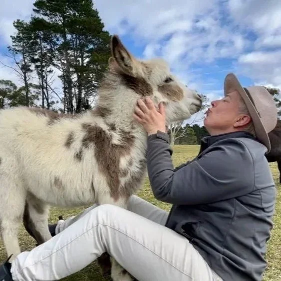 A woman sitting on the grass outdoors, wearing a hat and a jacket, holding a baby donkey close to her face, as the donkey leans in to nuzzle her.