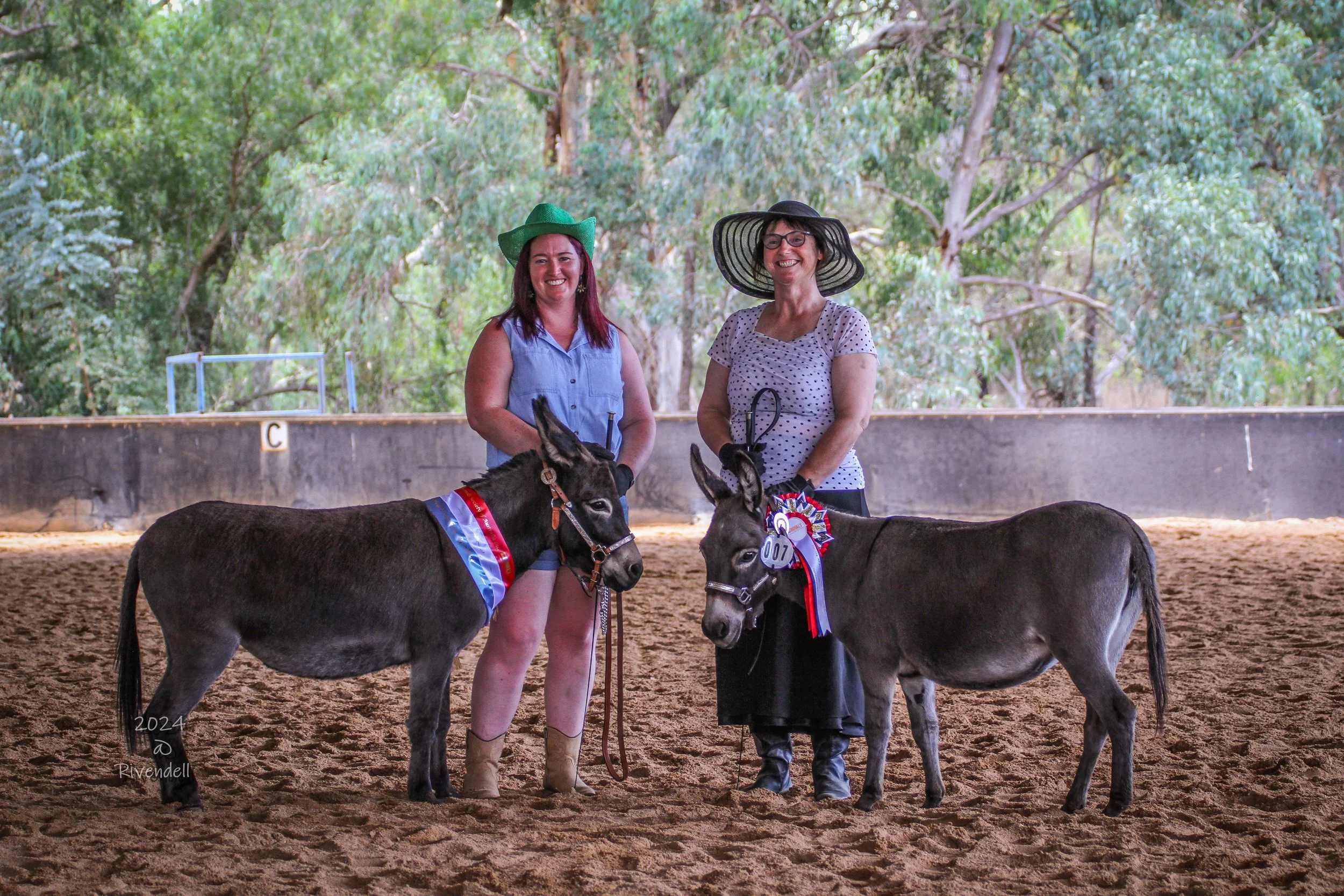 Two women standing with ribbon-winning donkeys in an indoor arena, wearing hats and smiling.