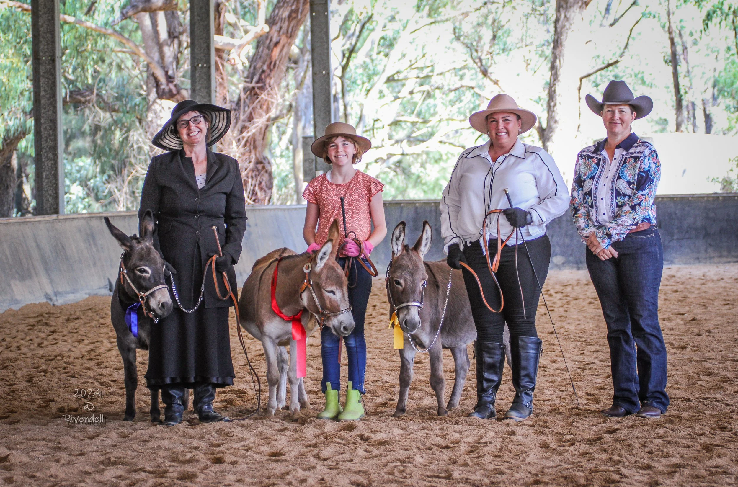 Three competitors pose with miniature donkeys and the show judge in an indoor riding arena. Each donkey has been awarded a ribbon.