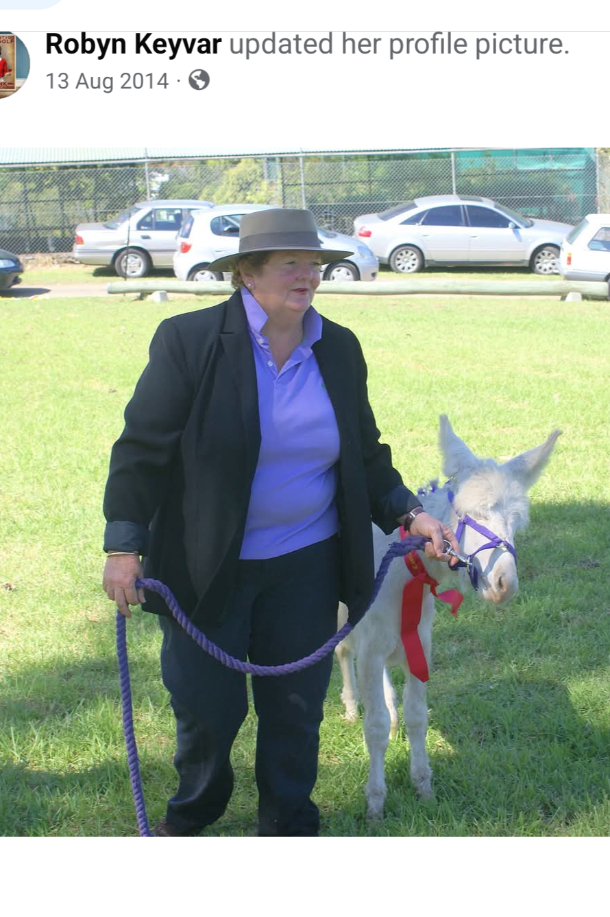 A woman in show attire leading a small white donkey on a purple lead-rope in a grassy space with cars and trees in the background.