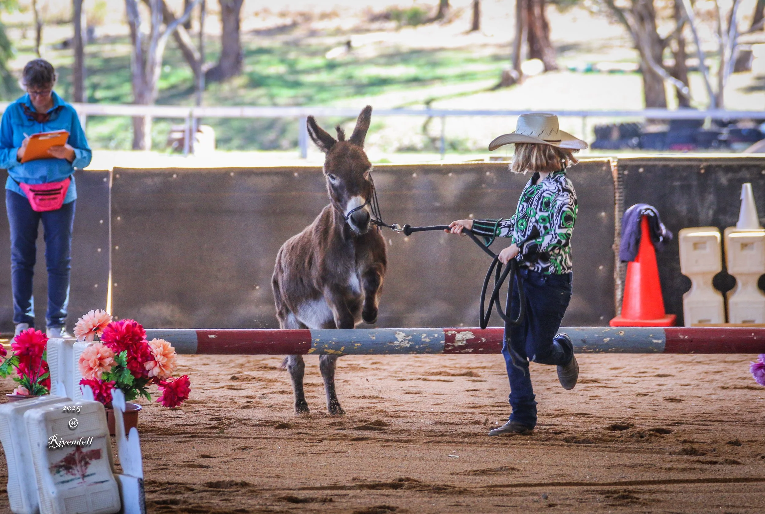 A young girl in a cowboy hat and patterned shirt is leading a donkey over a jump in a covered arena.