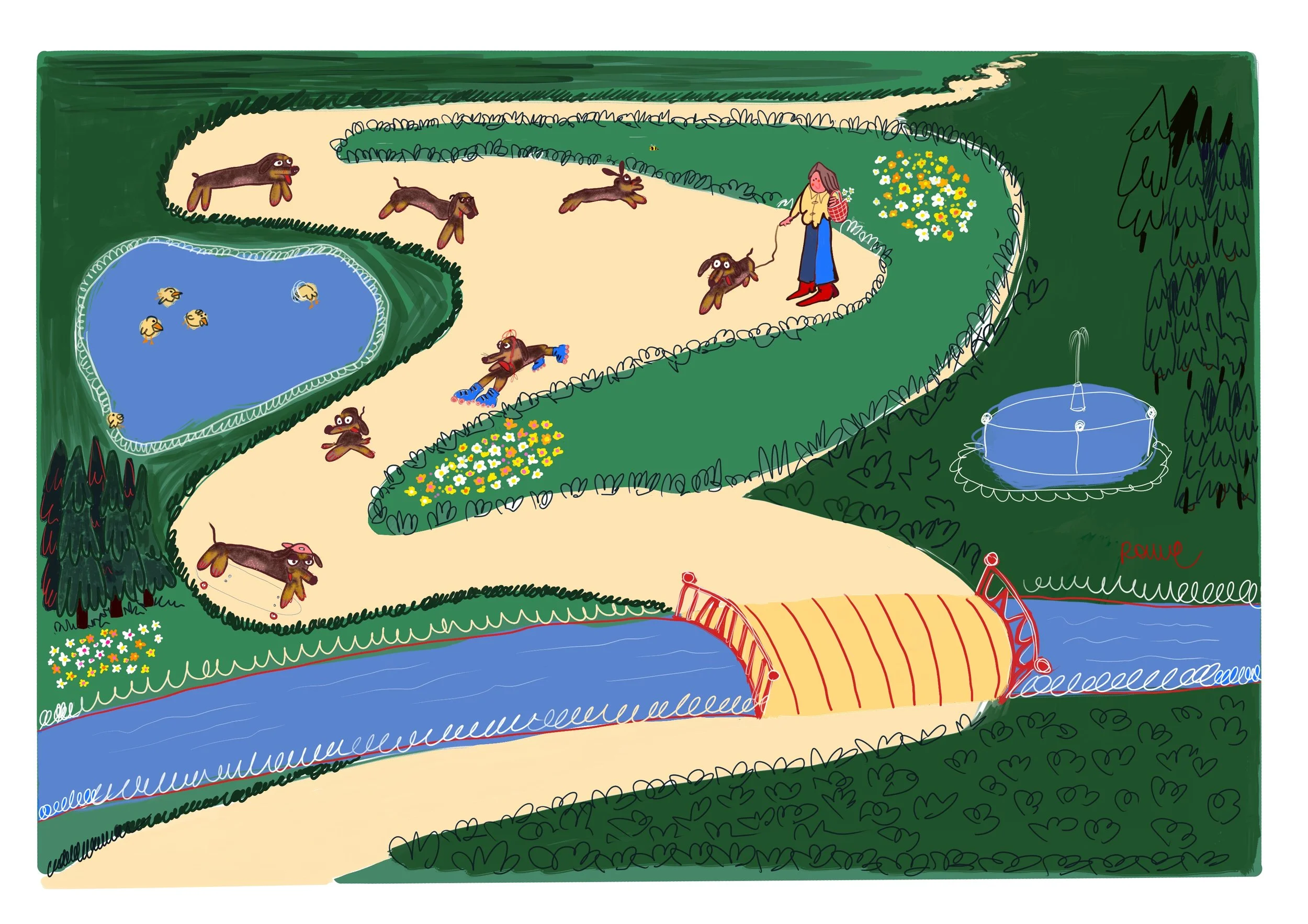 cuscus, paseando a la salchicha