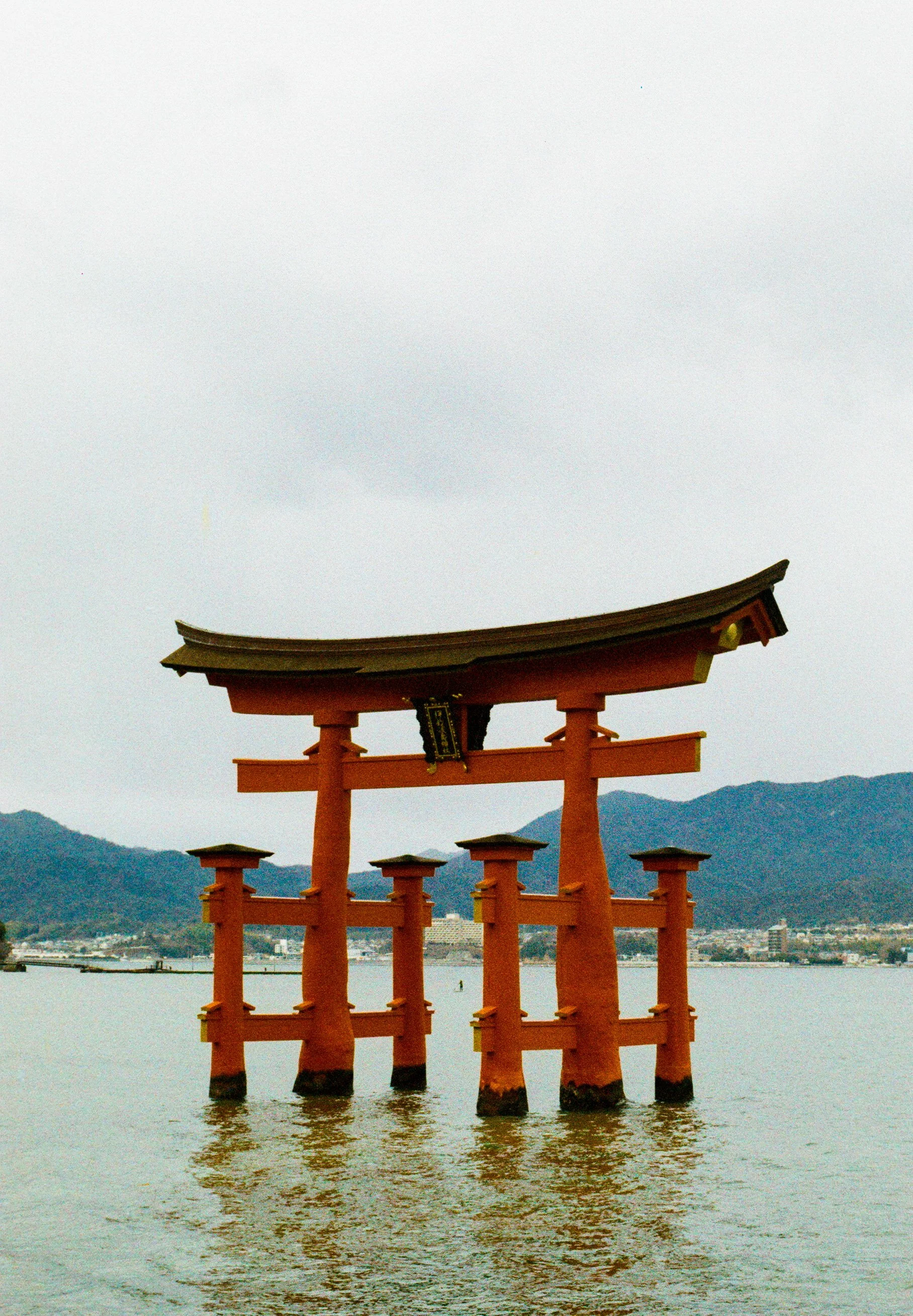 124839050007 (1).jpg