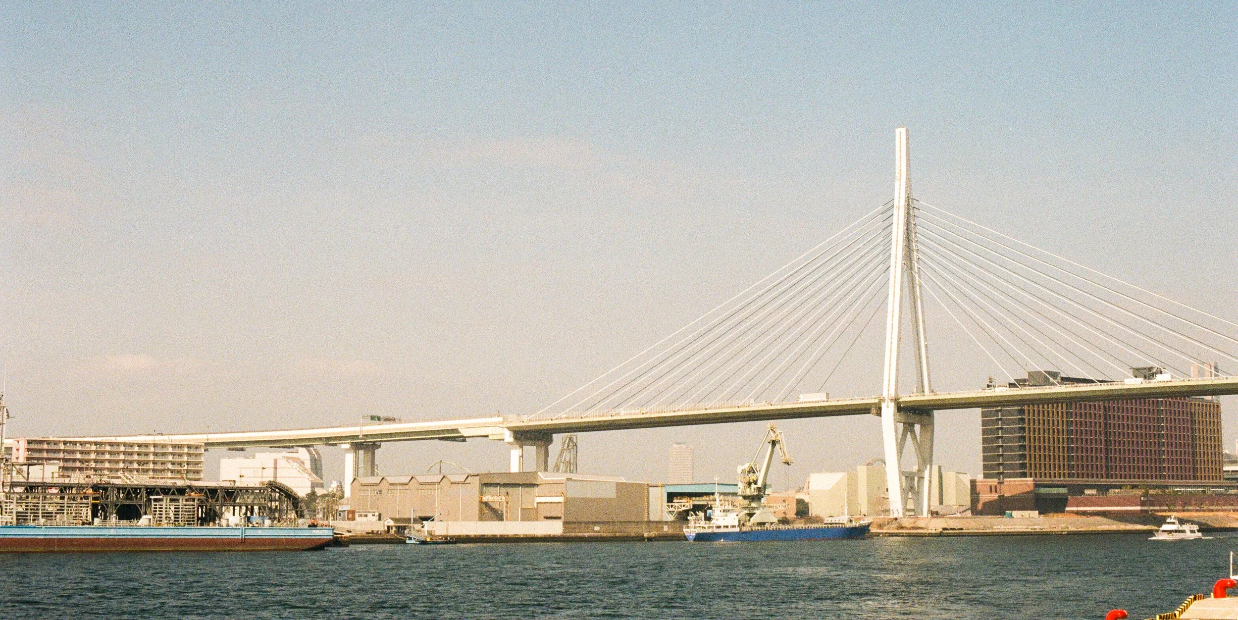 124839020011 (2).jpg