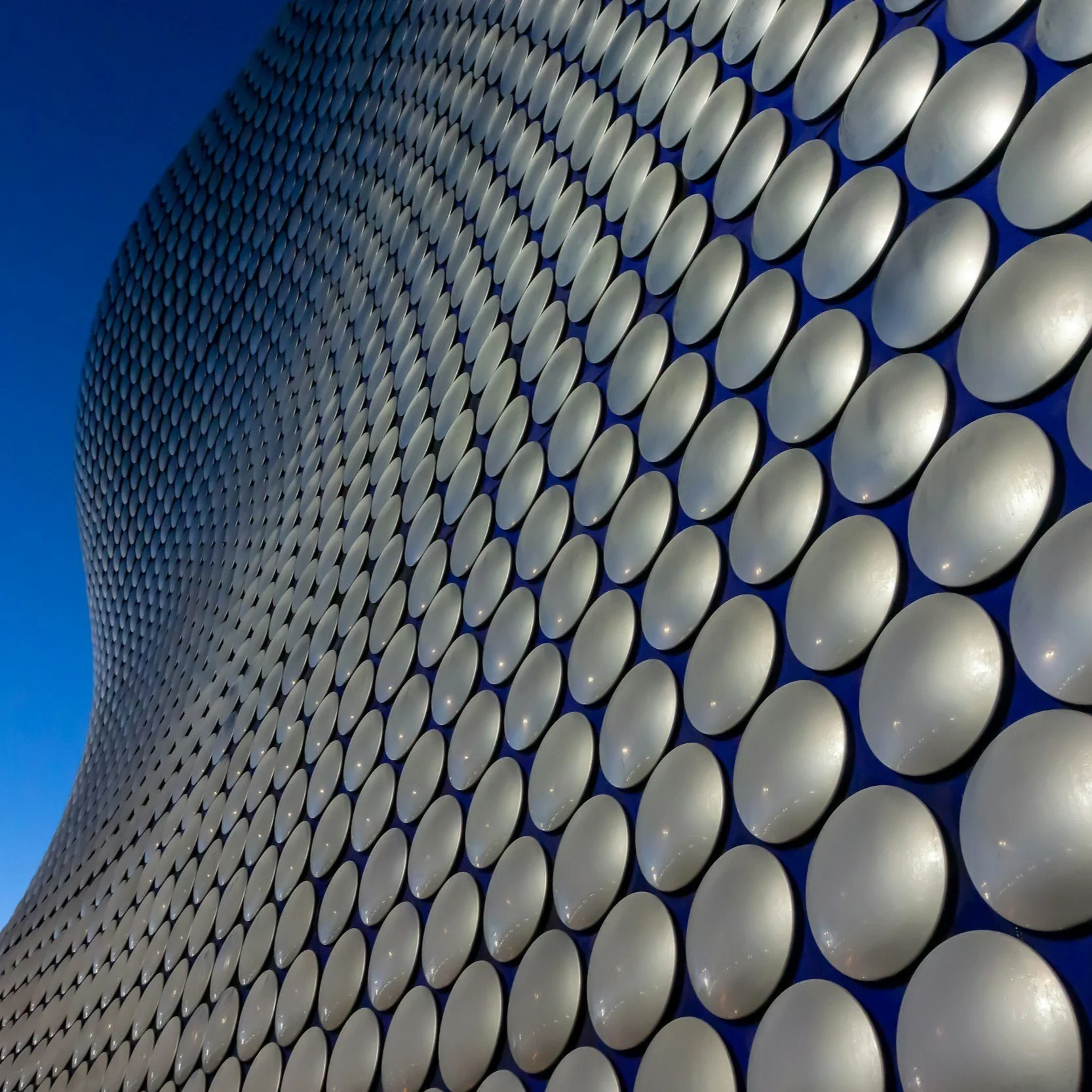 Steve Rigby contributes to BCC Economic Review 2024