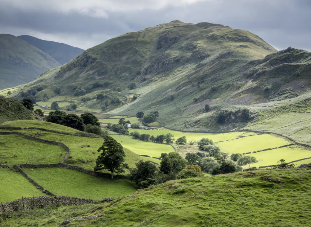 #18. The Eco-Friendly Revolution.