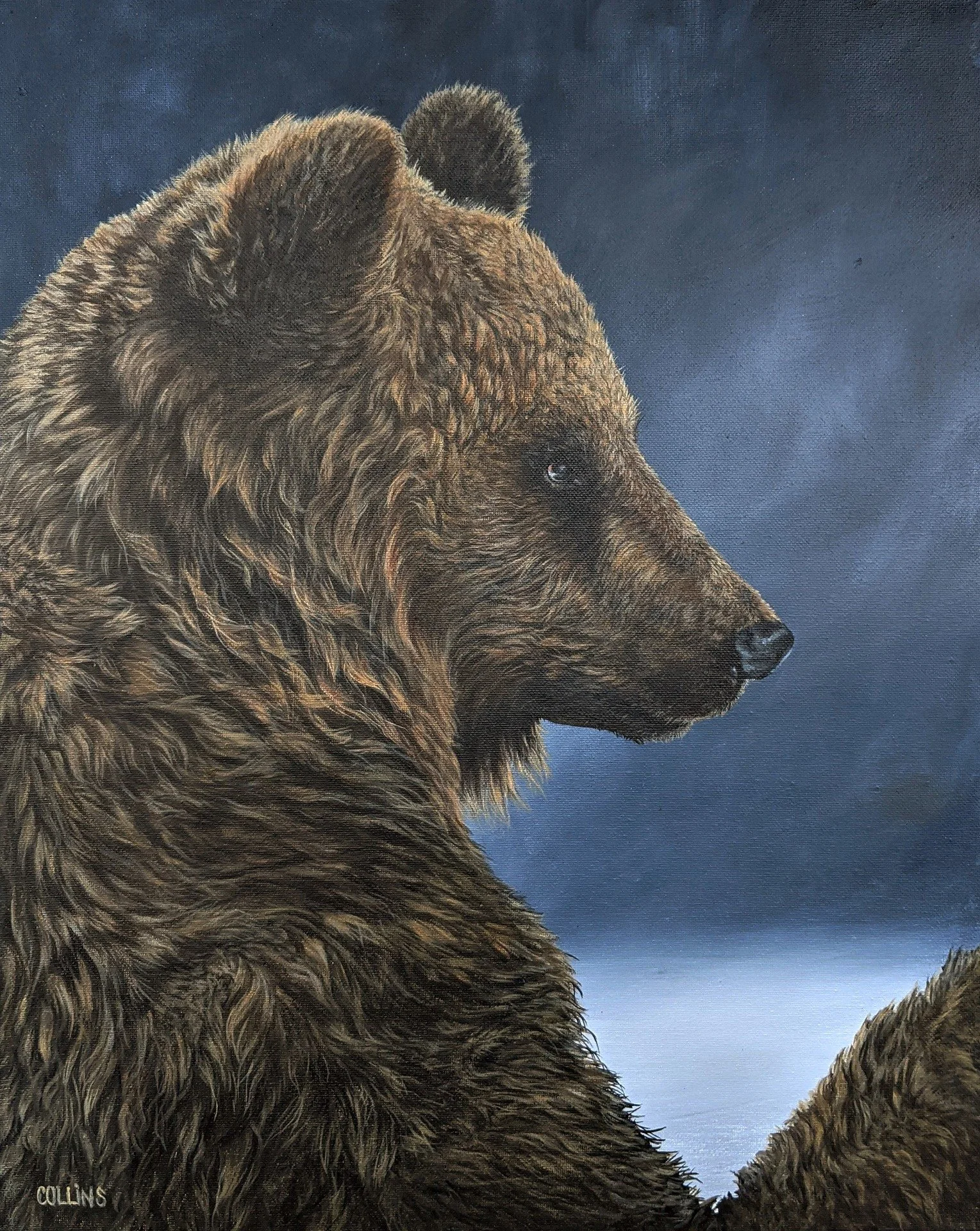 Gail Collins - "Grizzly" - 16 x 20 Acrylic - Port Perry