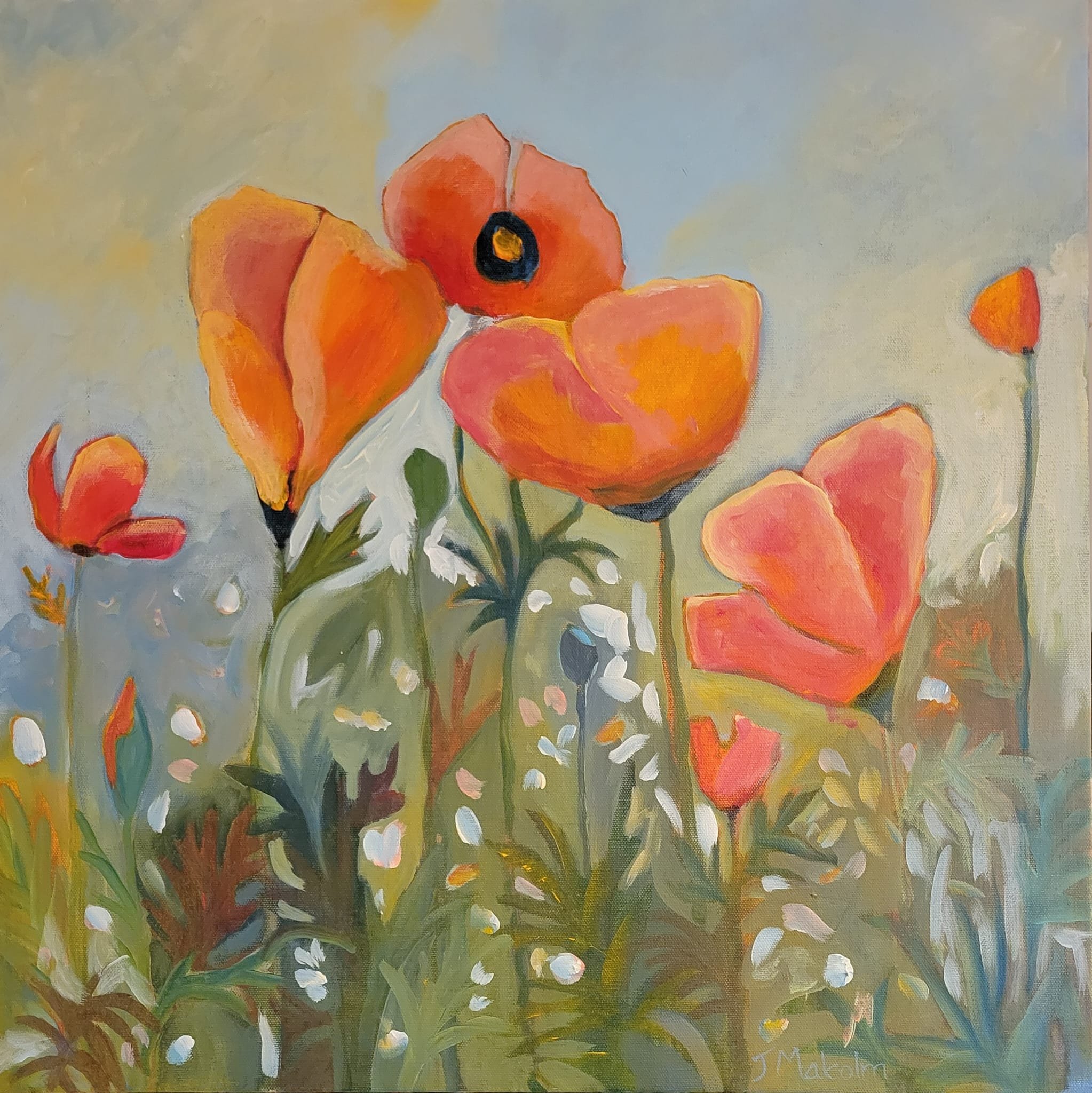 California Poppies by Joanna Malcolm