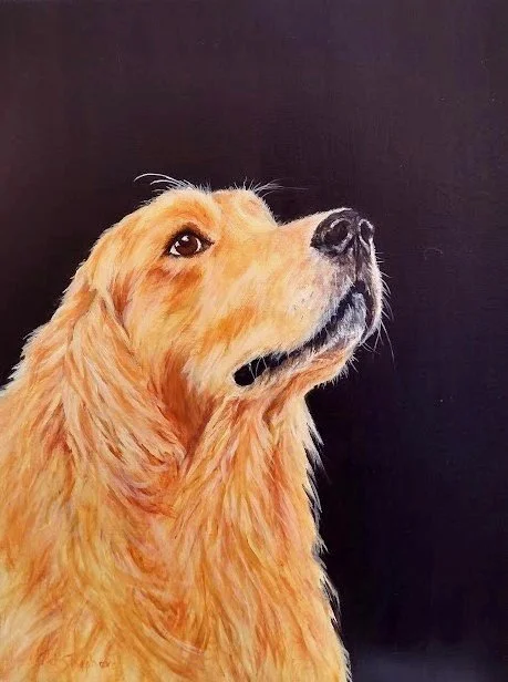 Pat Shepherd - "Look of Love" - 12 x 16" - Acrylic on Standard Canvas