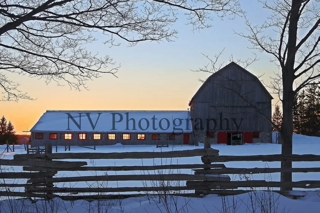 NV Photography - 