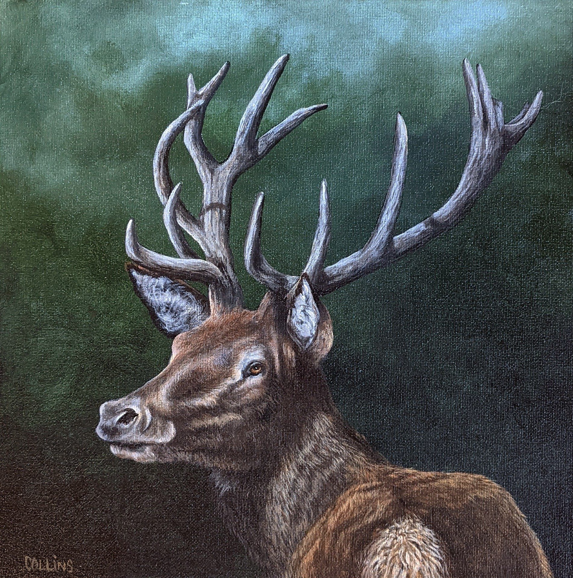 Gail Collins - "Oh Deer" - 12 x 12 Acrylic - Port Perry