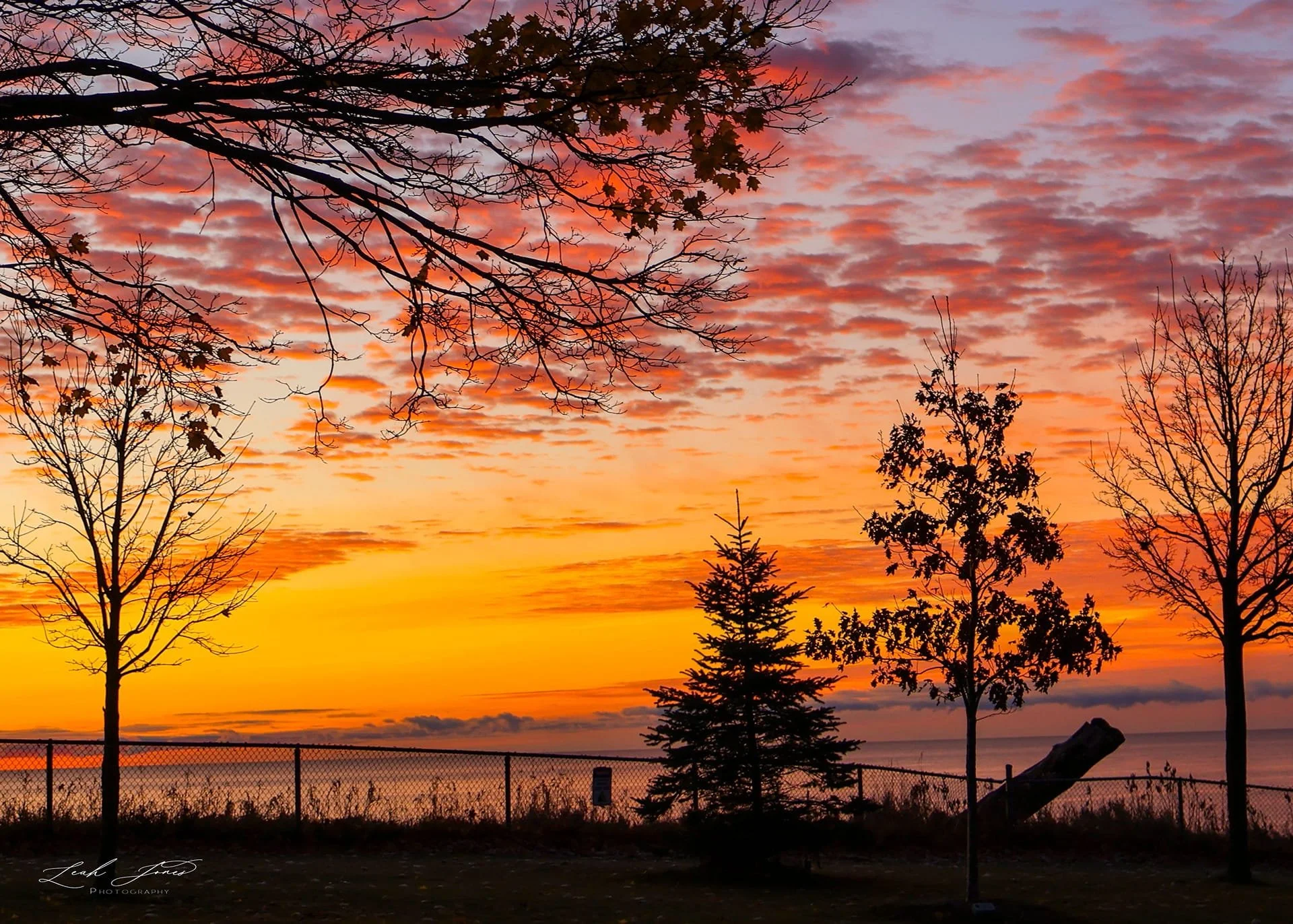 Leah Jones - "Morning Sky Art" - Oshawa, Ontario