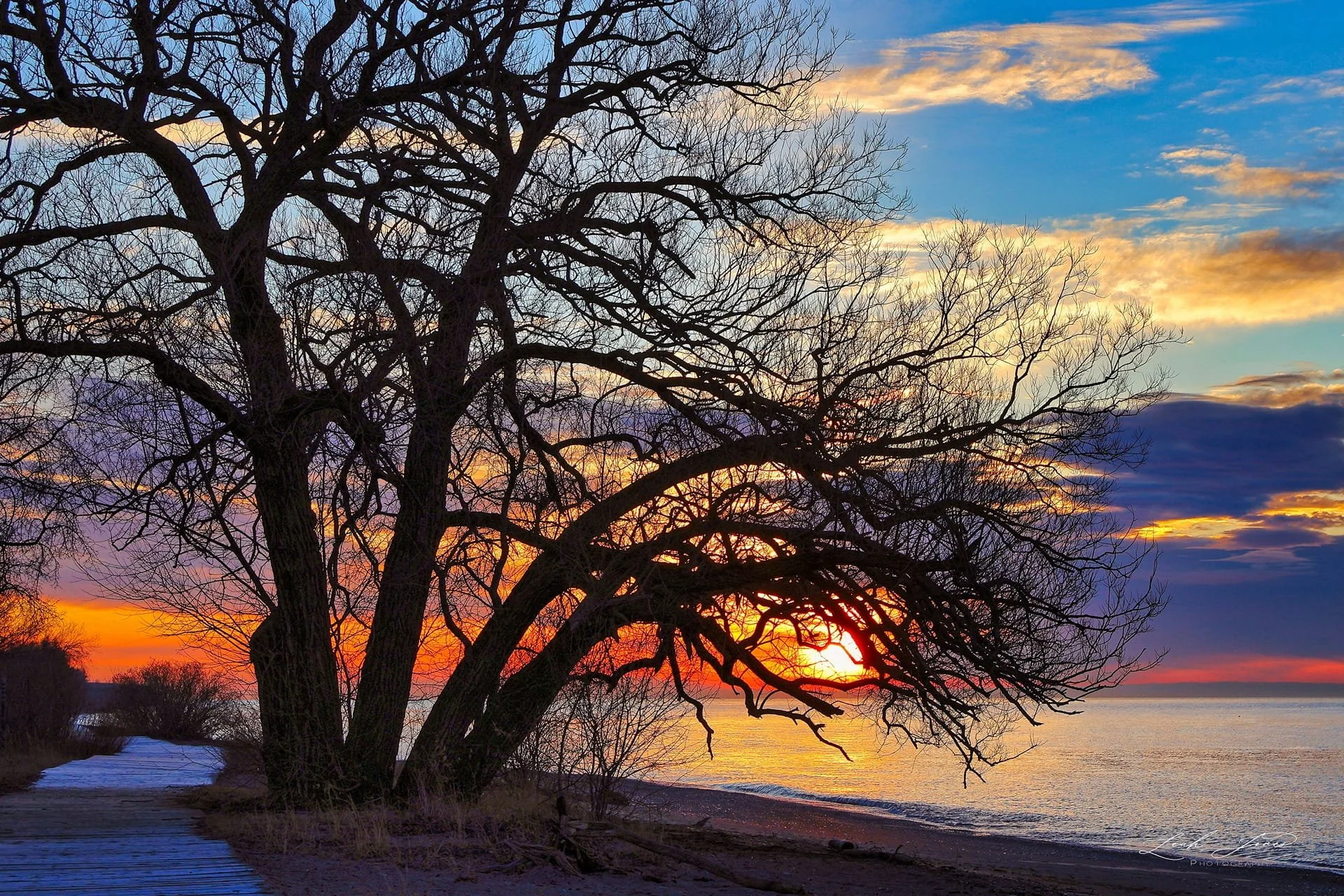Leah Jones - "Walk along the Boardwalk" - Whitby, Ontario