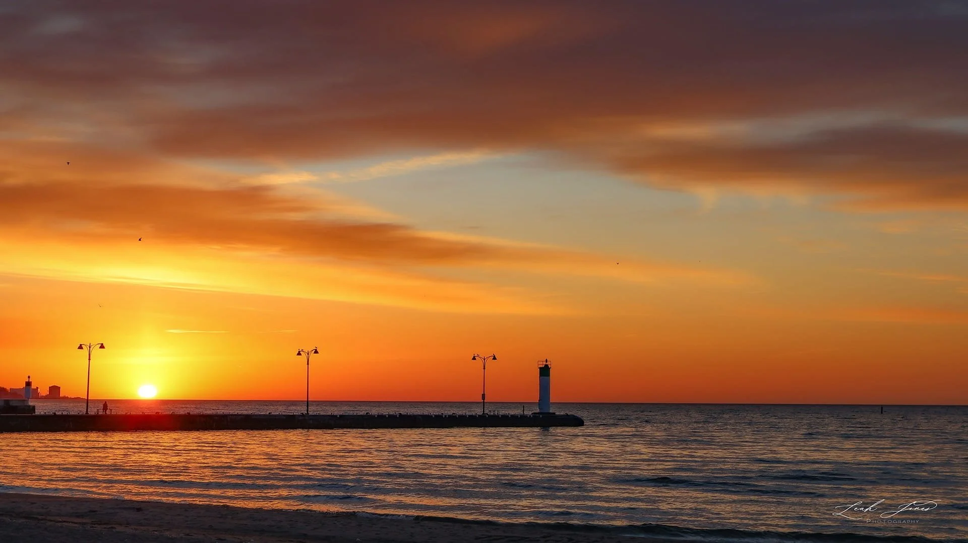 Leah Jones - "Morning Sun Kissed" - Oshawa, Ontario