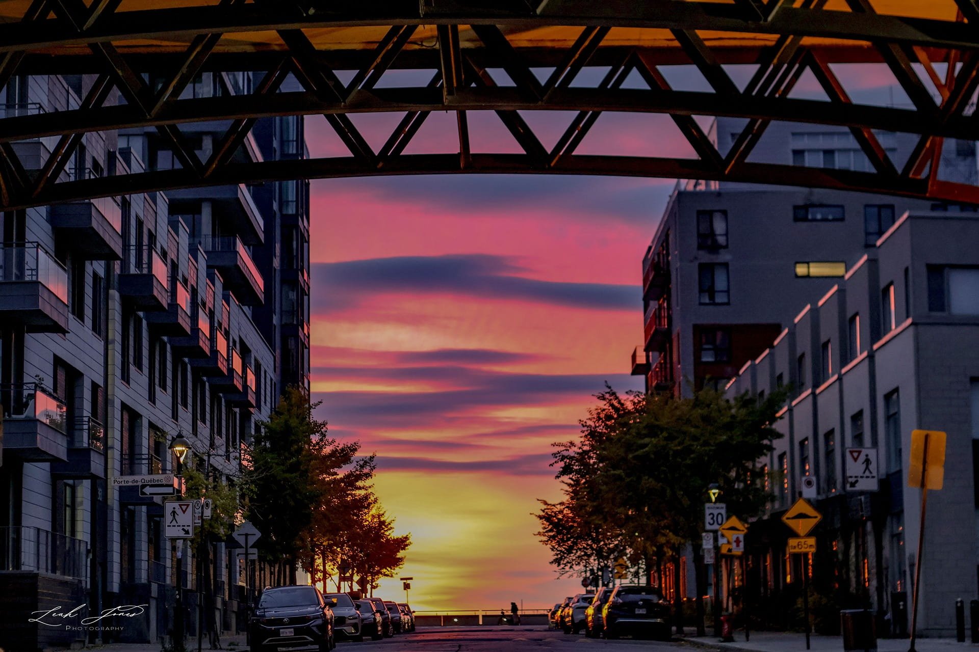 Leah Jones - "Morning Canvas" - Montreal, Quebec
