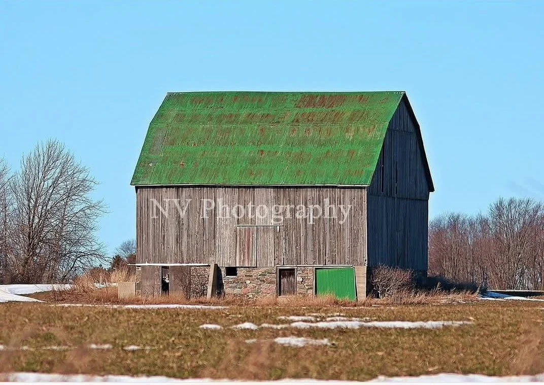 NV Photography - 