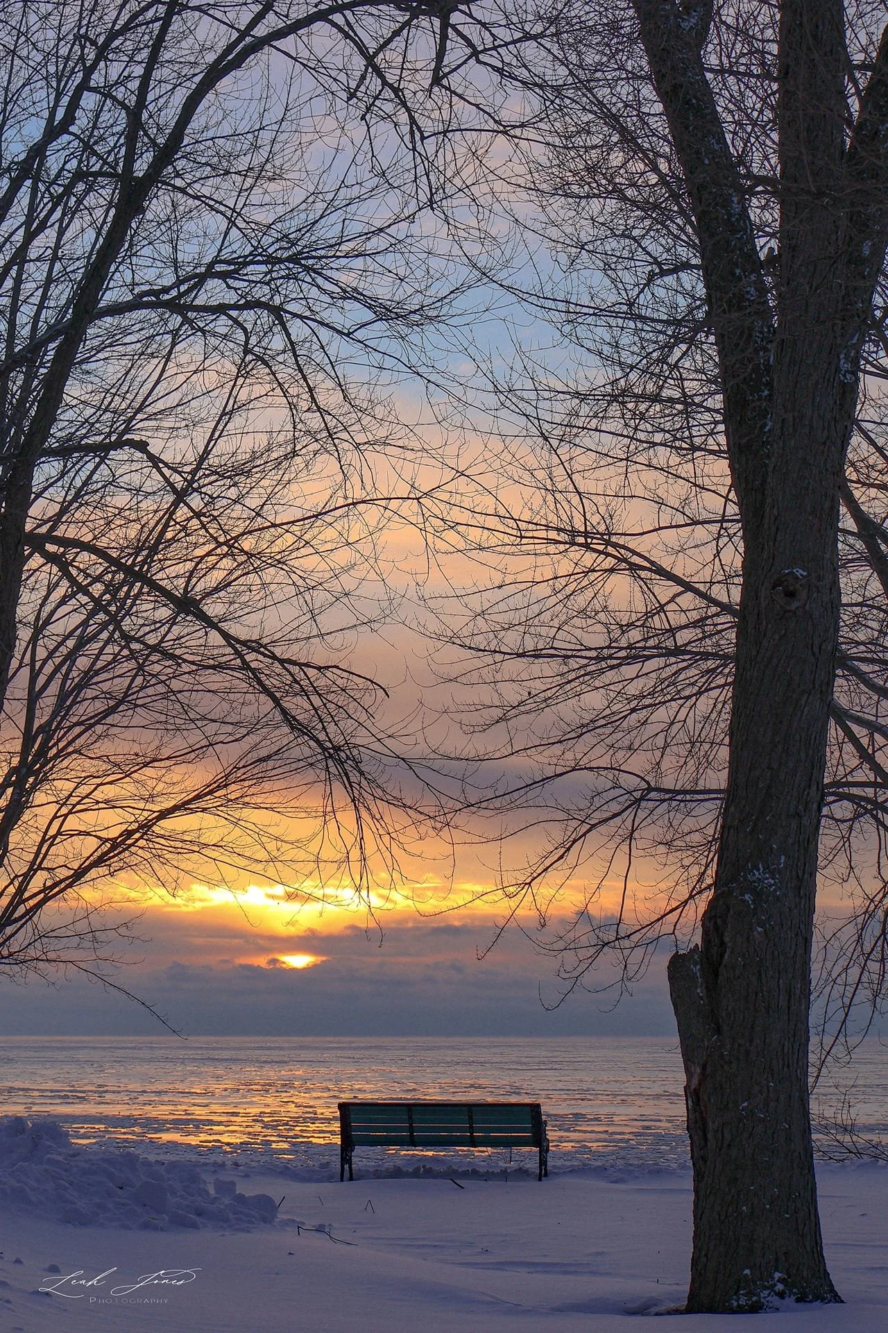 Leah Jones - "Winter Lakeview" - Oshawa, Ontario