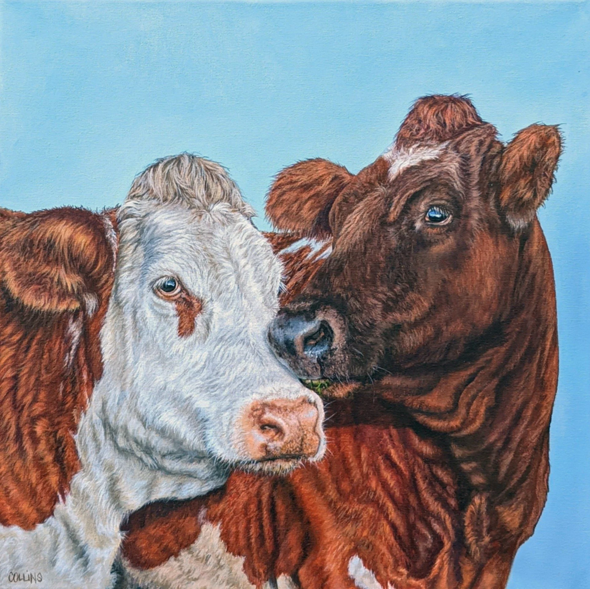 Gail Collins - "Muzzle Nuzzle" - 14 x 14 Acrylic