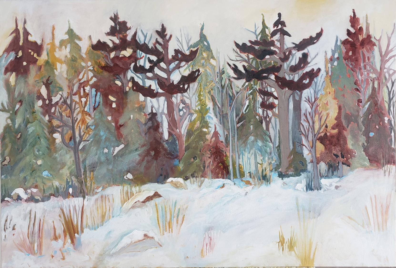 Joanna Malcolm - "The Winter Forest" - 30 x 44" - Acrylic