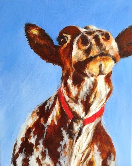 Pat Shepherd - "Cow" - 8 x 10 - Acrylic on Canvas