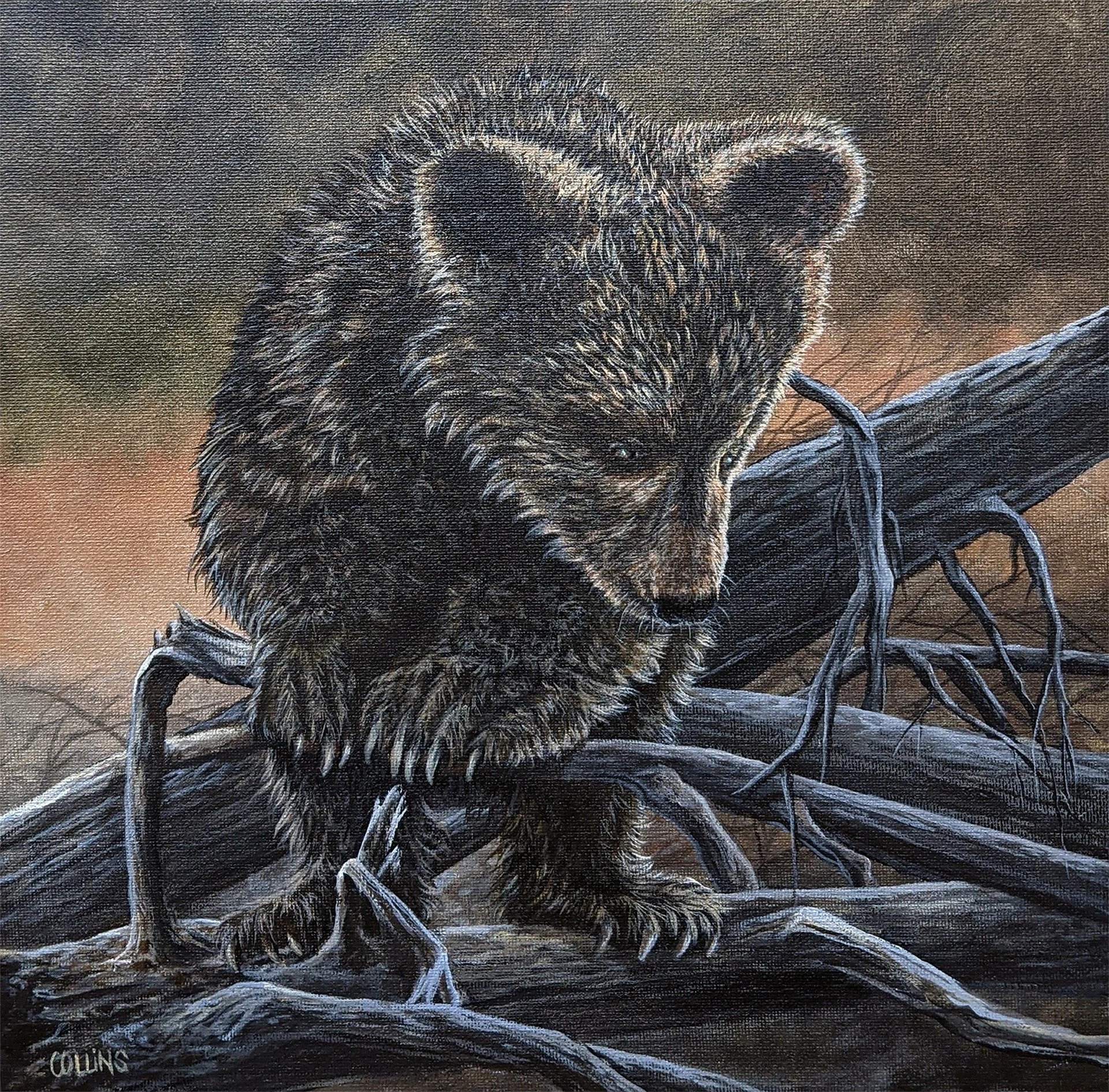 Gail Collins - "Unbearable Cuteness" - 12 x12 Acrylic
