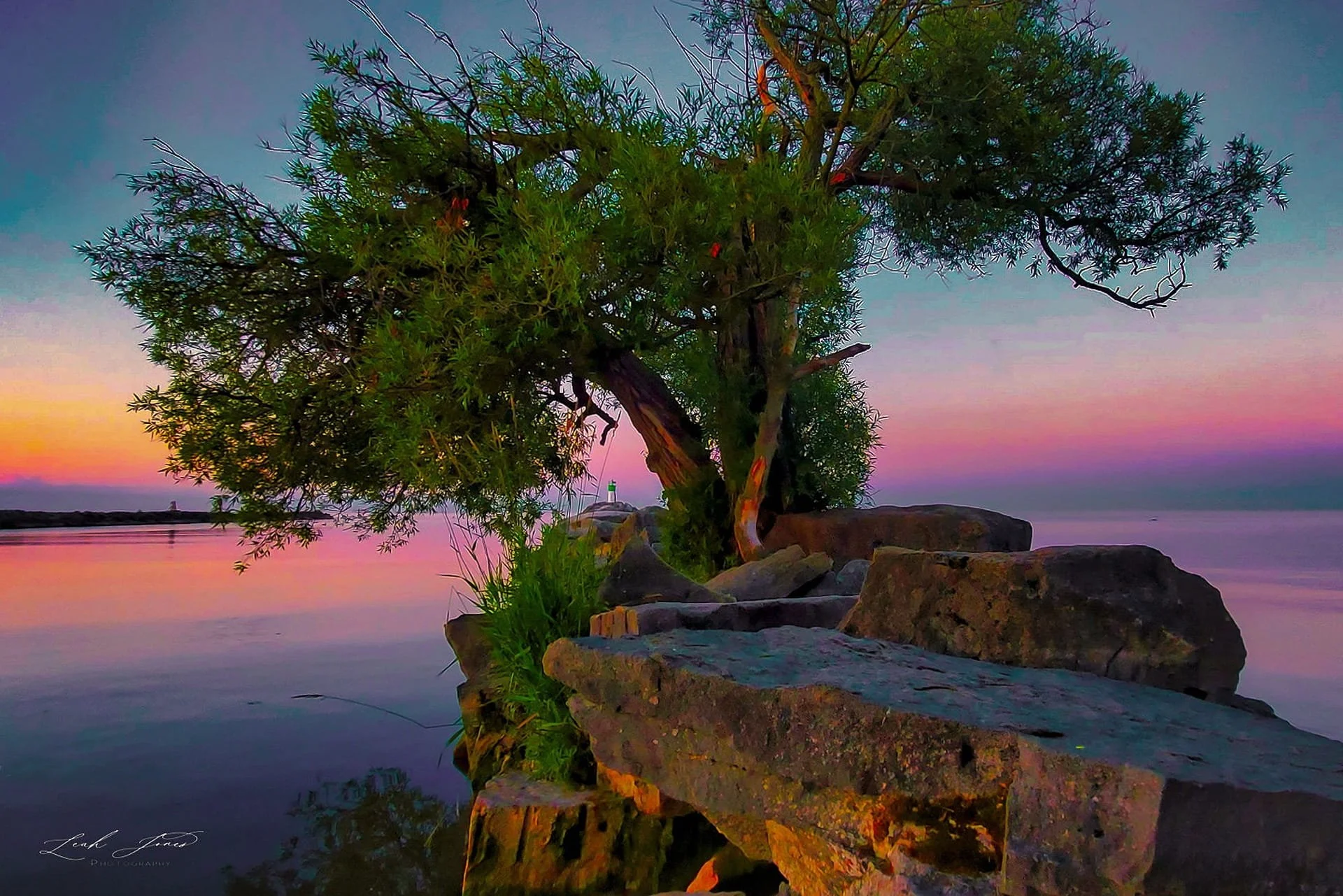 Leah Jones - "Bowmanville Beach Vibes" - Bowmanville, Ontario