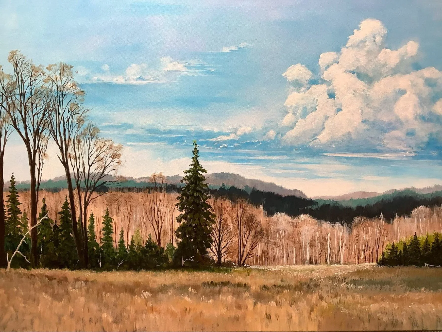 Hildy Smith - "Back 40" - 24 x 36