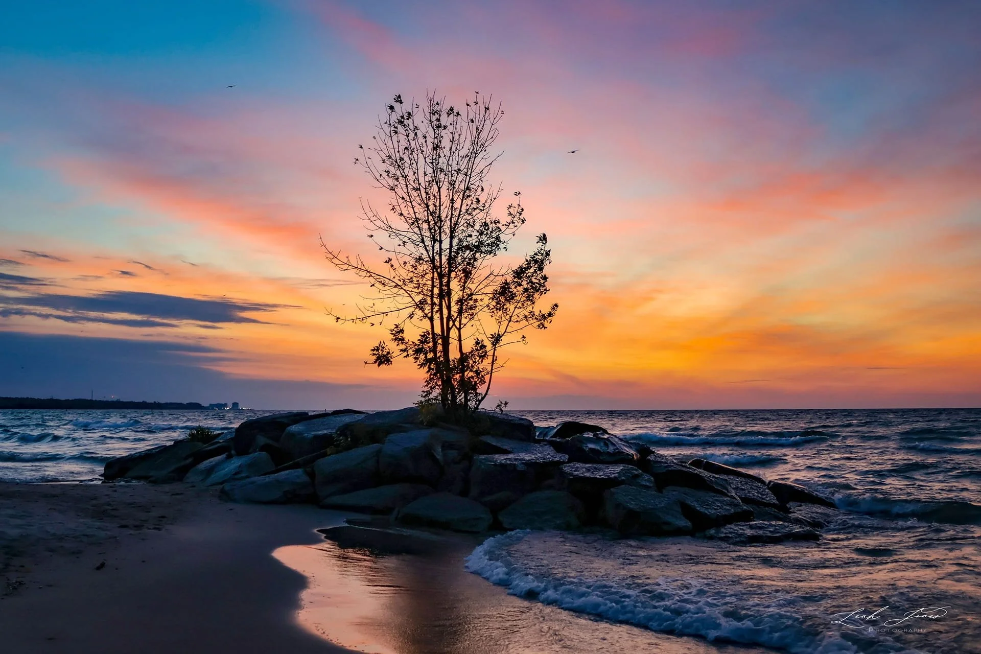 Leah Jones - "Mother Nature’s Brush Strokes ~ Sunrise" - Oshawa, Ontario