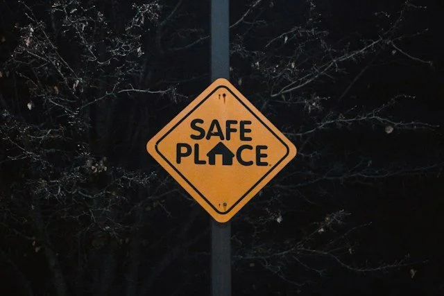 Public Safety