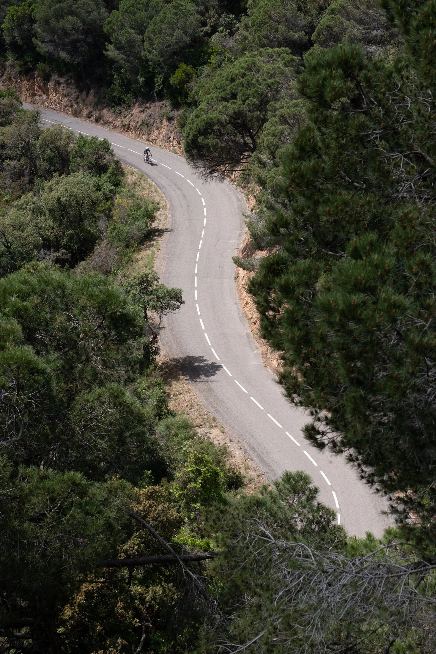 Consulation (60€/hour)