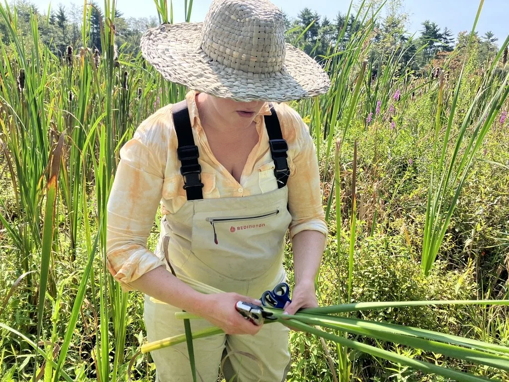 harvest + hat (1).jpeg