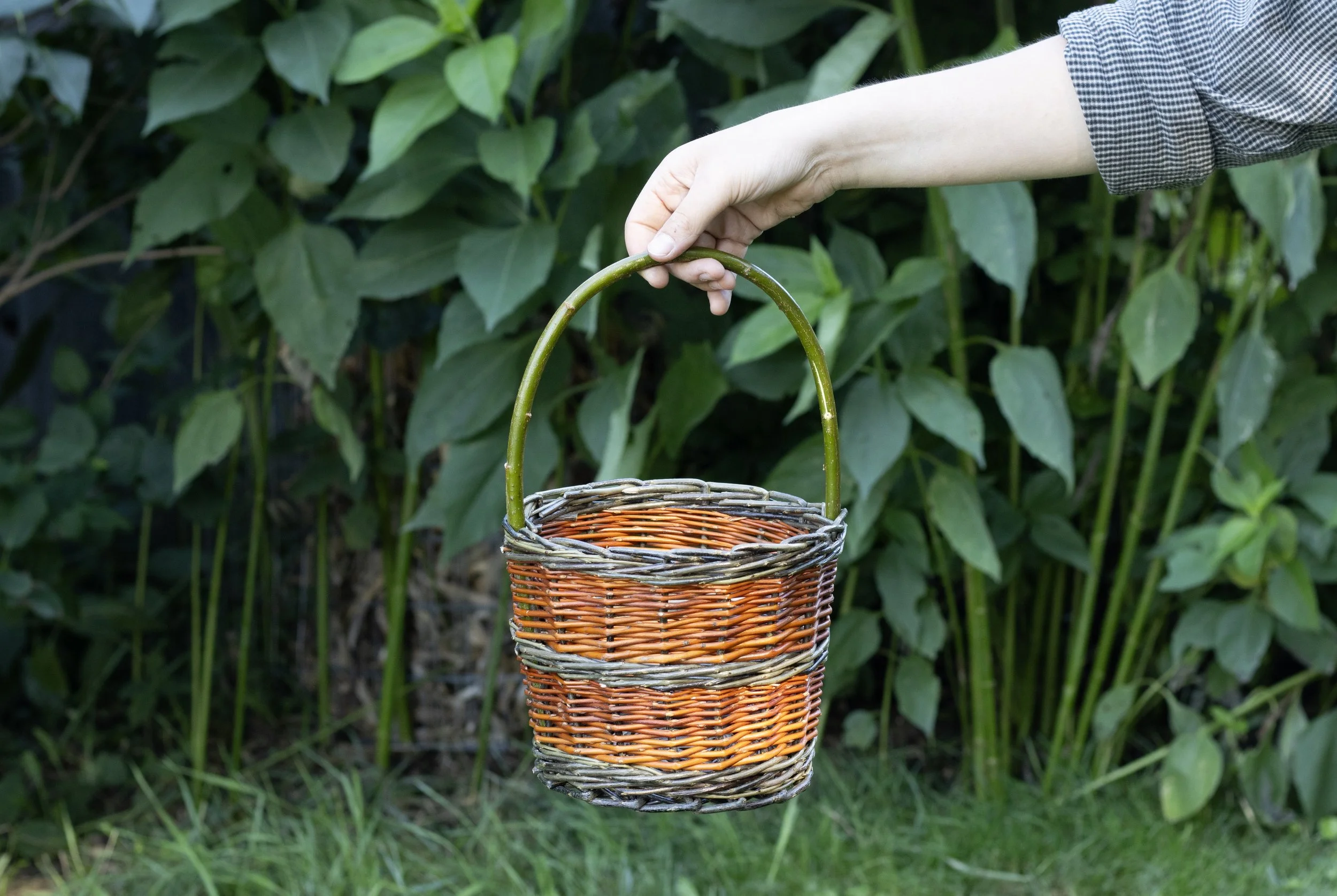student berry basket_2.jpg